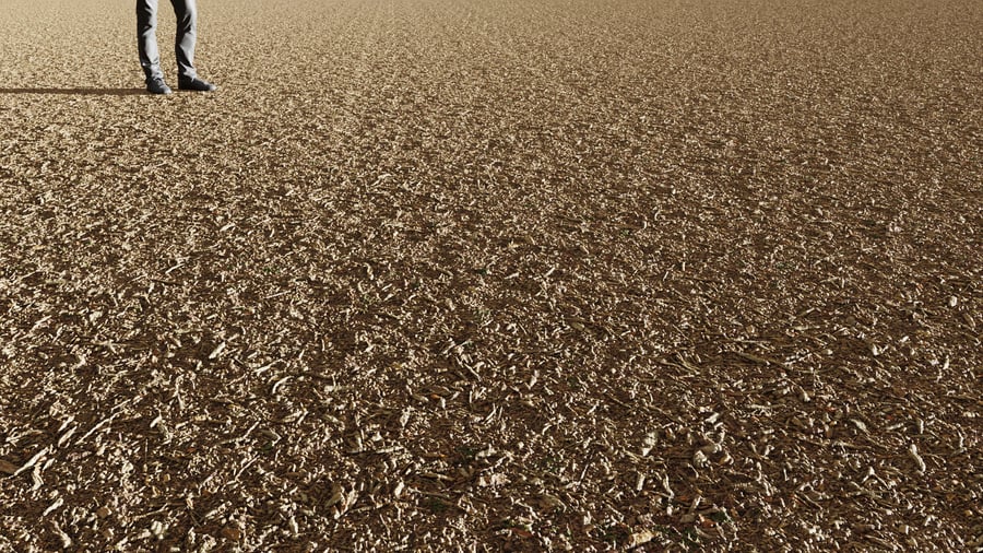 Large Wood Chips Texture