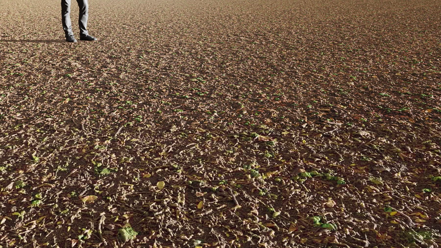 Scattered Debris and Clover Forest Texture