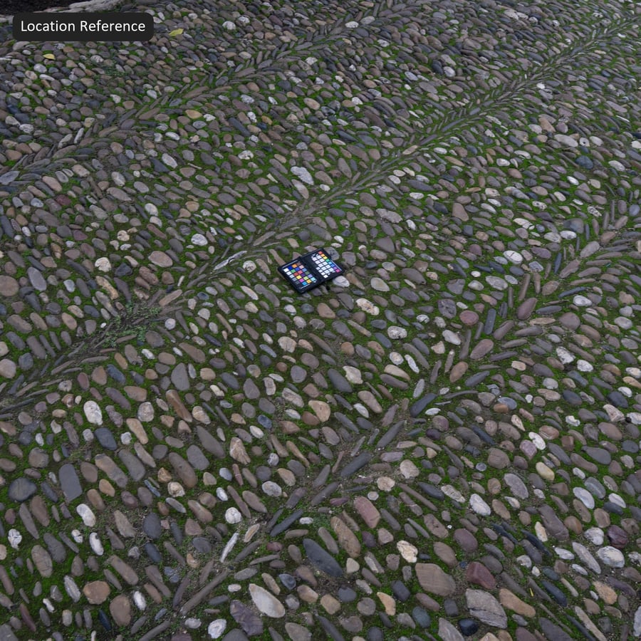 Mossy Cobblestone Texture