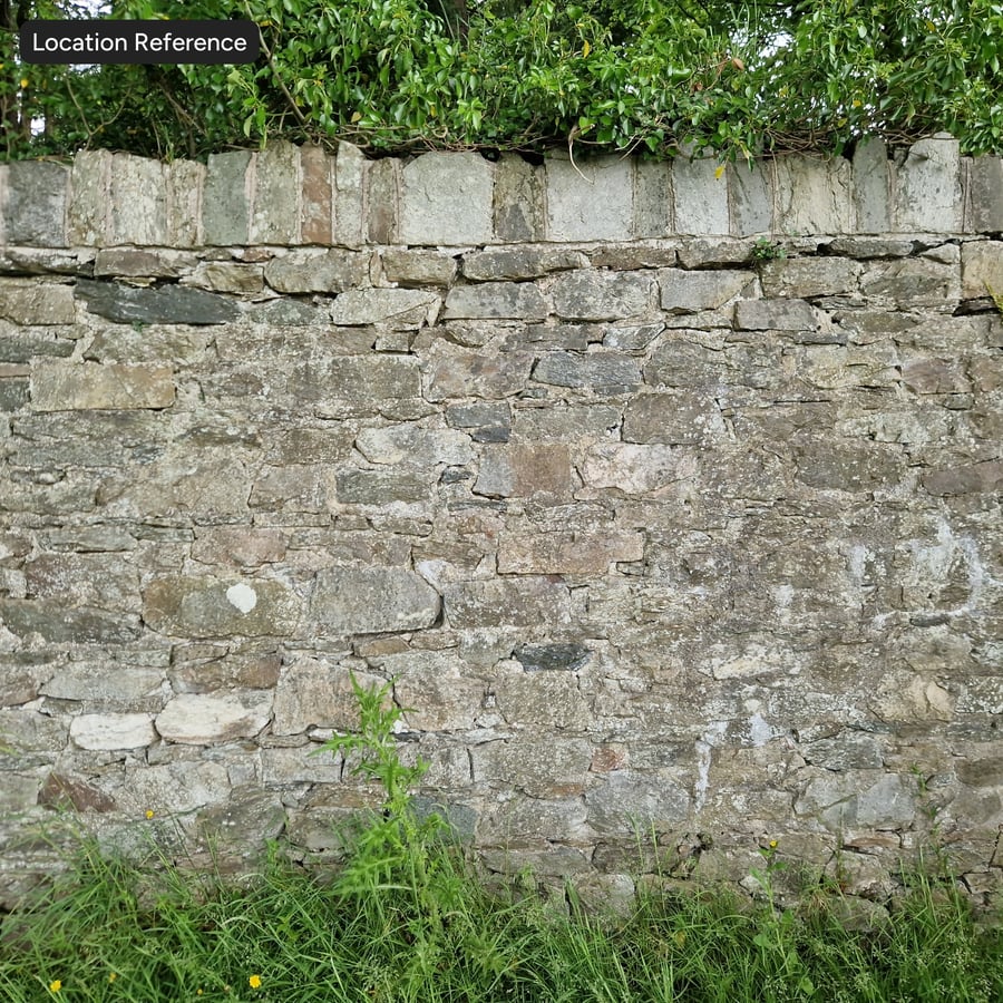 Moldy Masonry Stone Wall Texture