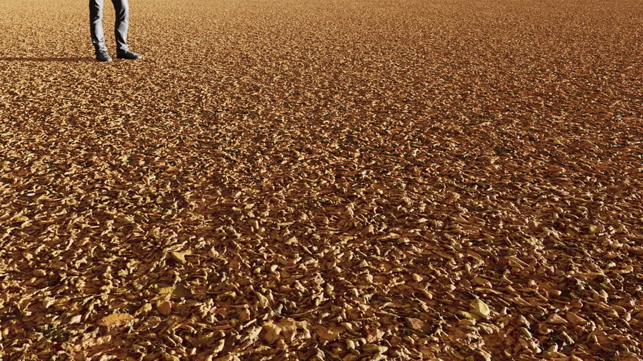 Mixed Dried Leaves Texture