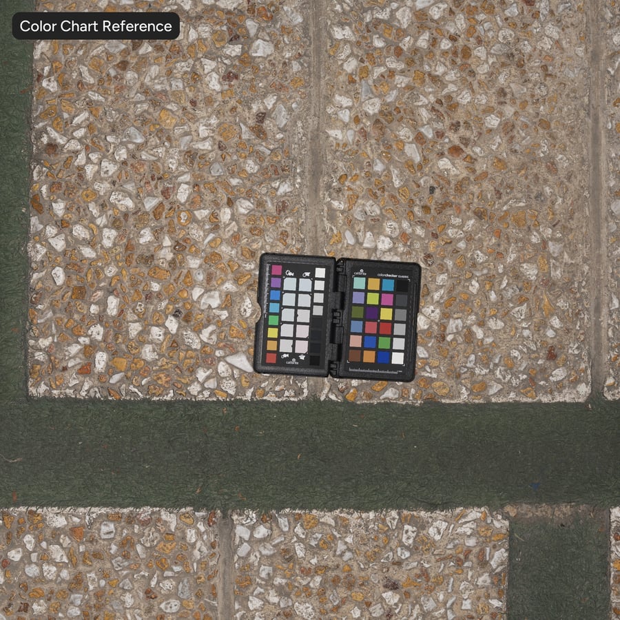 Pebbledash Stone and Grass Sidewalk Texture