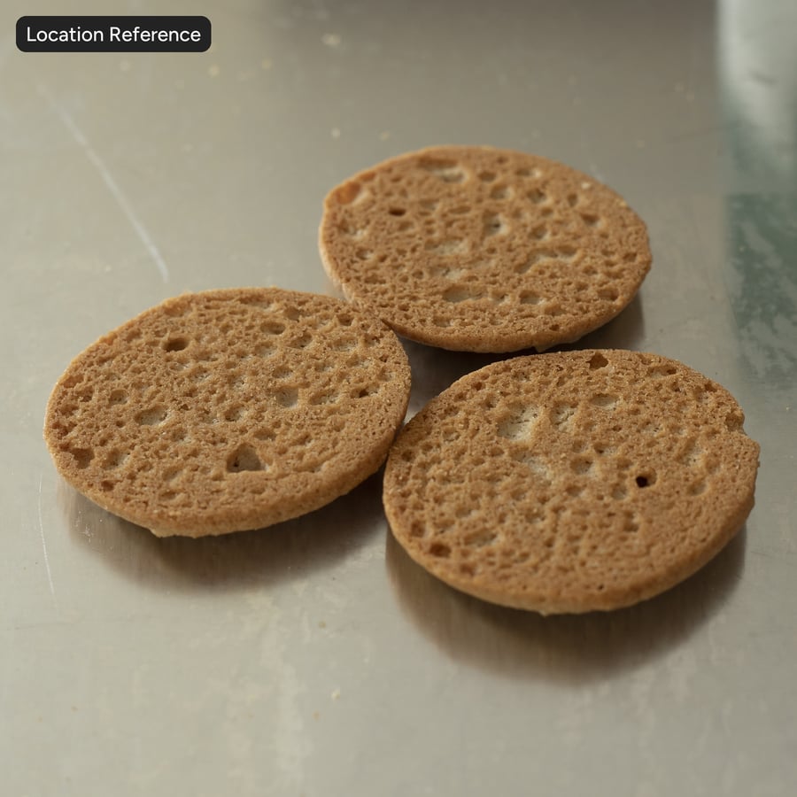 Textura traseira do biscoito Snickerdoodle