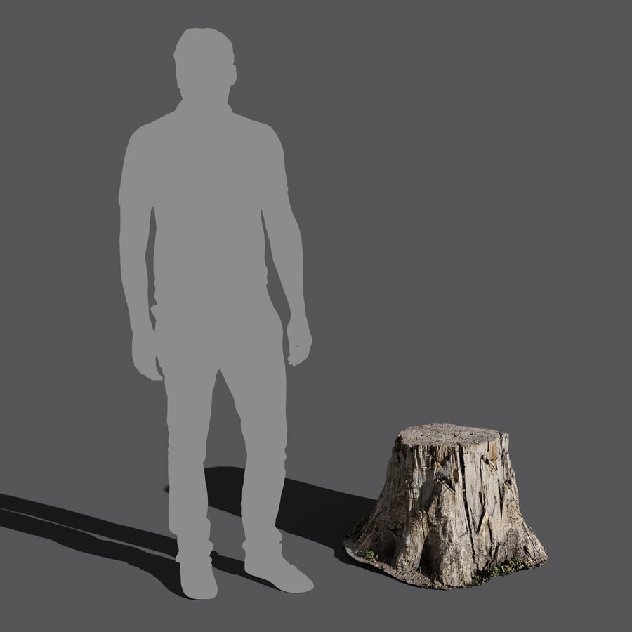 Short Cut Old Bare Stump Model