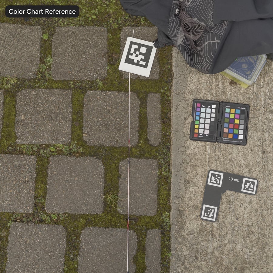 Mossy Cobblestone Texture