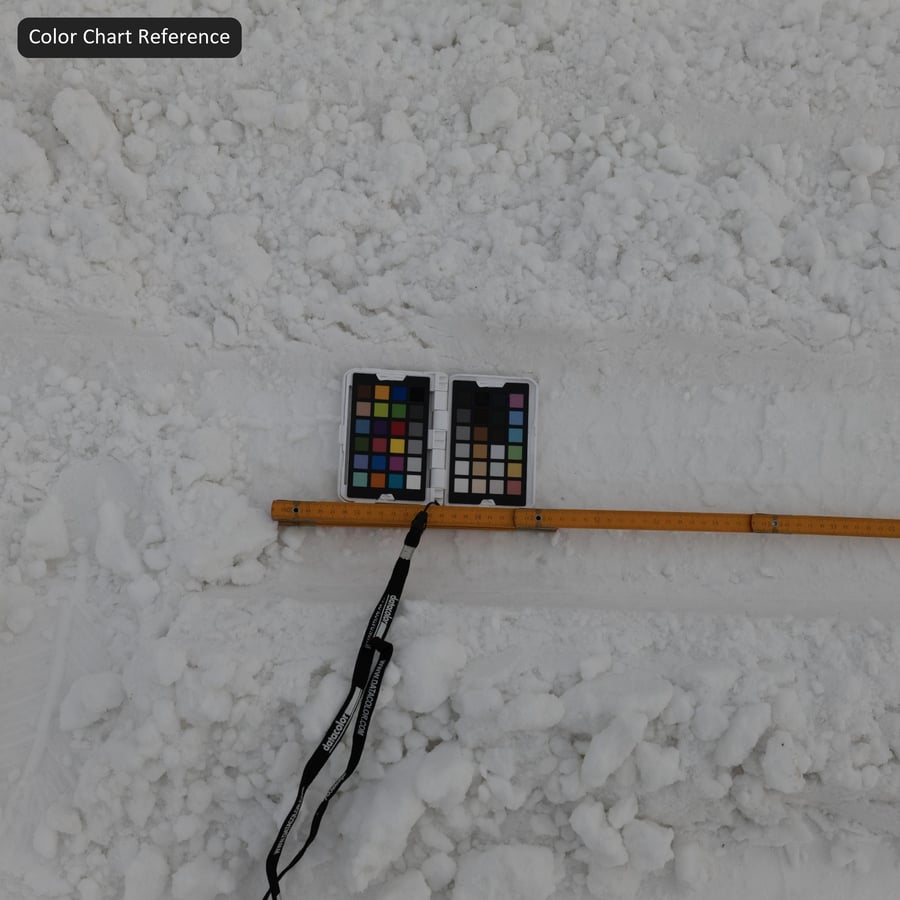 厚雪紋理上的輪胎印記