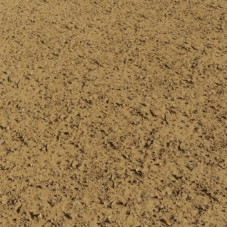 Sandy Soil with Debris Texture