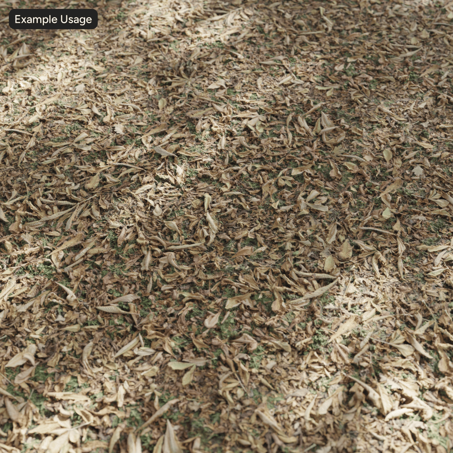 Φθινόπωρο Φύλλα στο γρασίδι έδαφος υφή