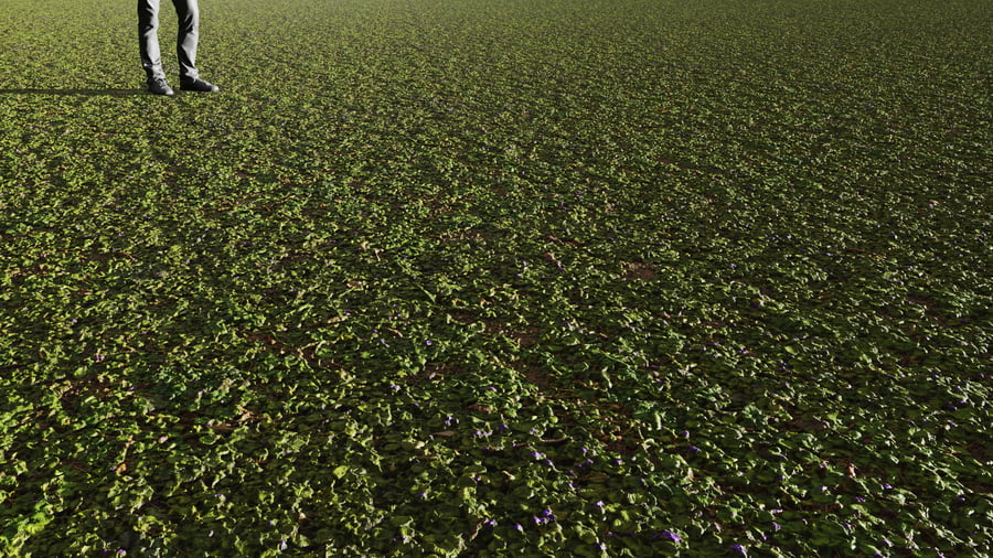 Forest Flower Dirt Ground Texture