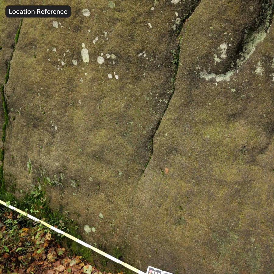 Textura de pedra de penhasco salpicada de líquen