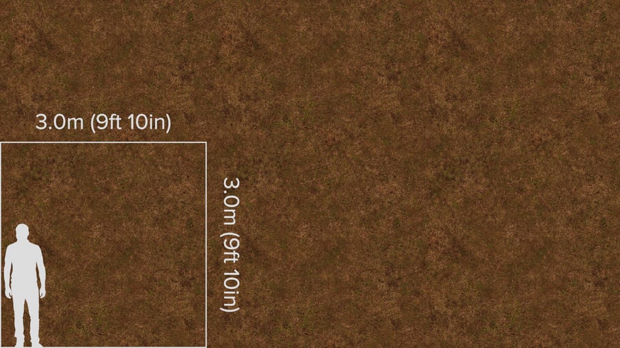 Textura de ervas daninhas e relva seca