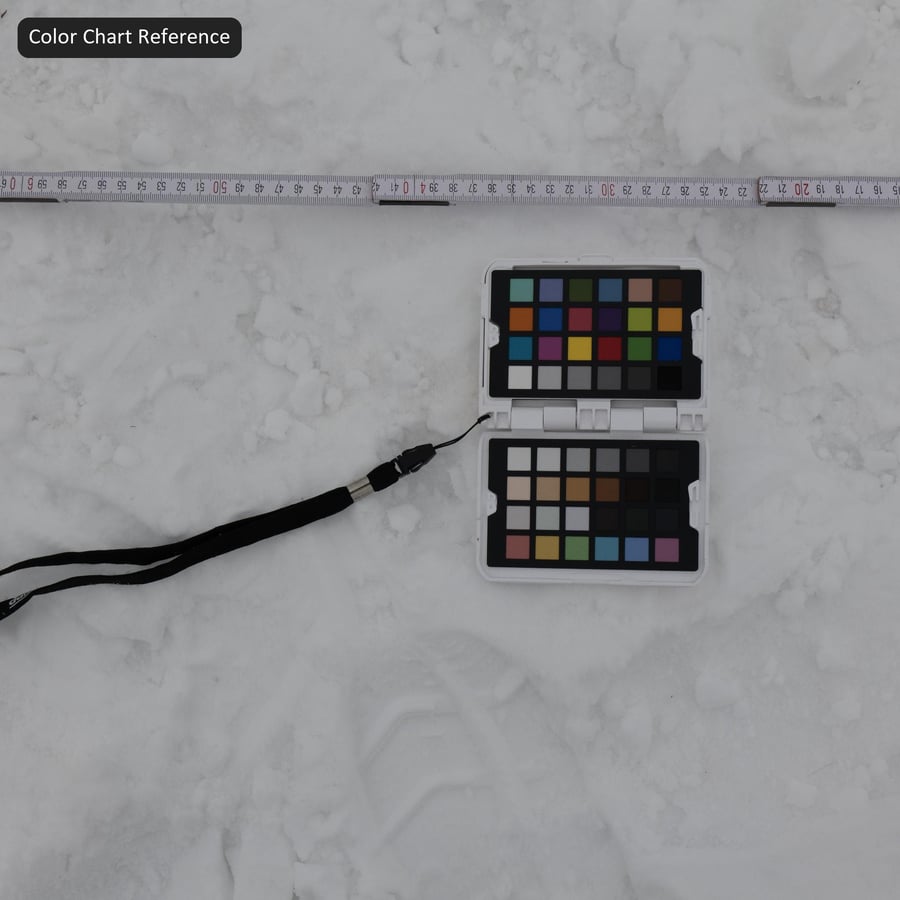 Large Tire Marks on Snow Texture