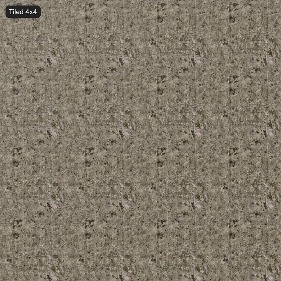 Lichen Weathered Concrete Panel Wall Texture