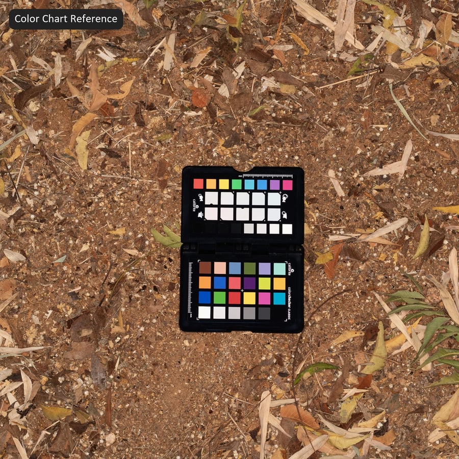 泥土上的落葉紋理