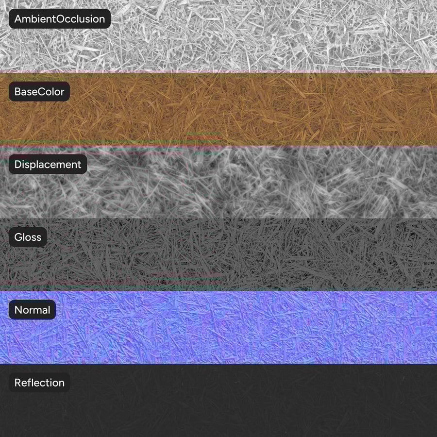 Texture des roseaux séchés