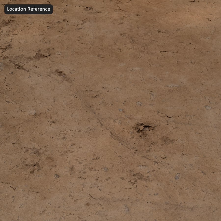 Dry Cracked Ground Texture