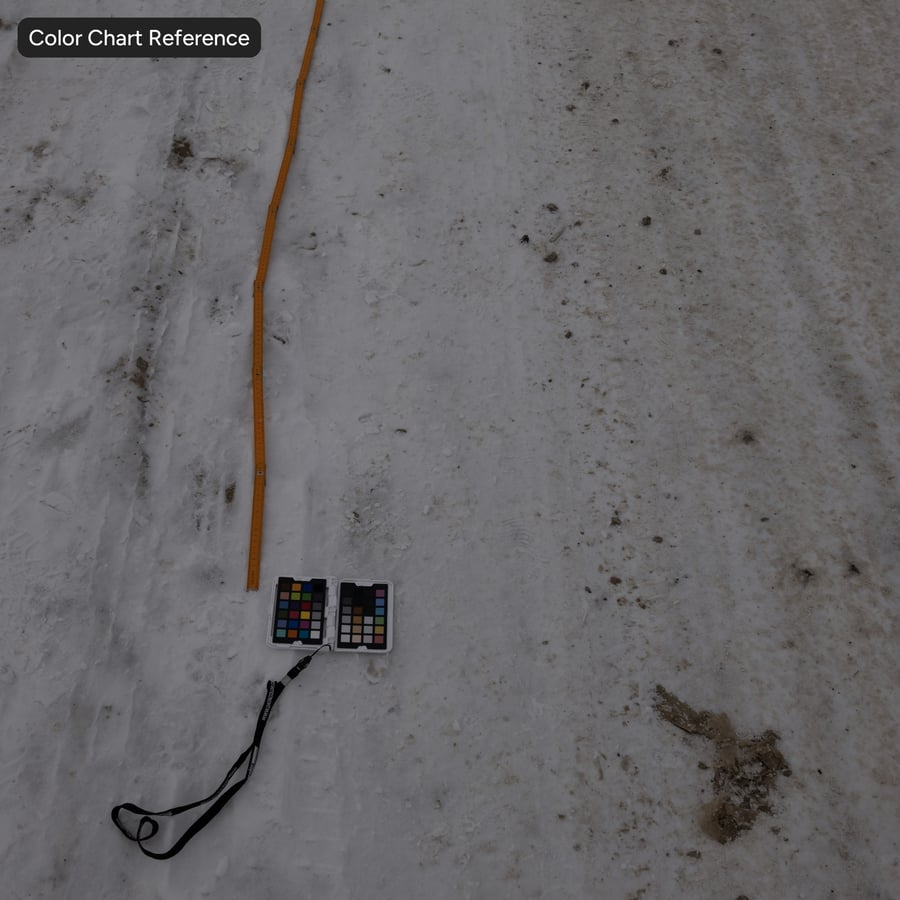 Marques de pneus sur route enneigée Texture