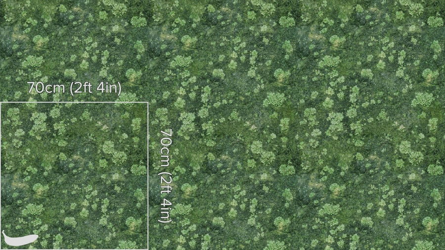 Textura de rocha musgosa