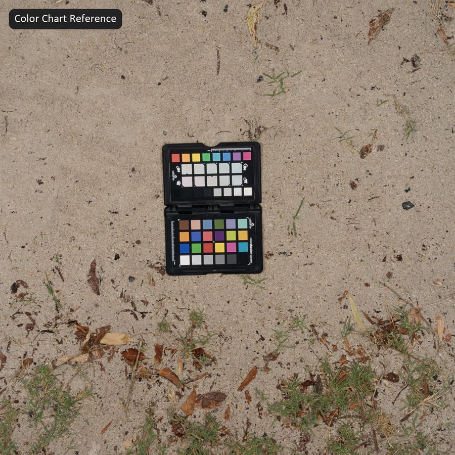Debris on Loose Sand Texture