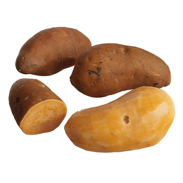 Sweet Potato Models