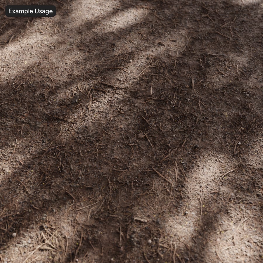 Forest Floor Soil Texture