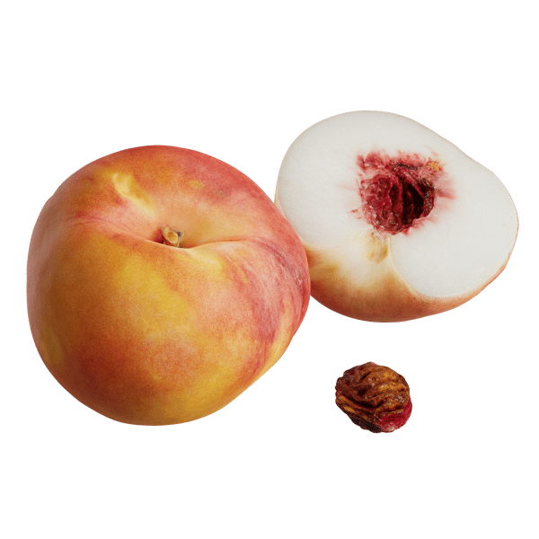 Peach-modeller