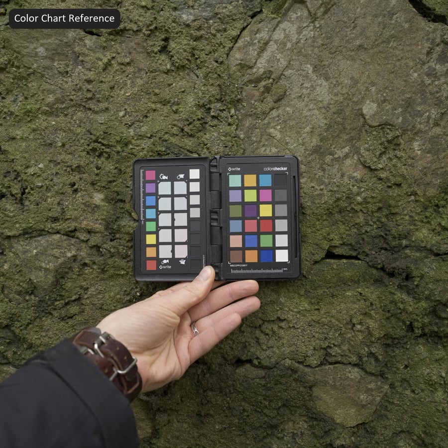 Mossy Stone Wall Texture