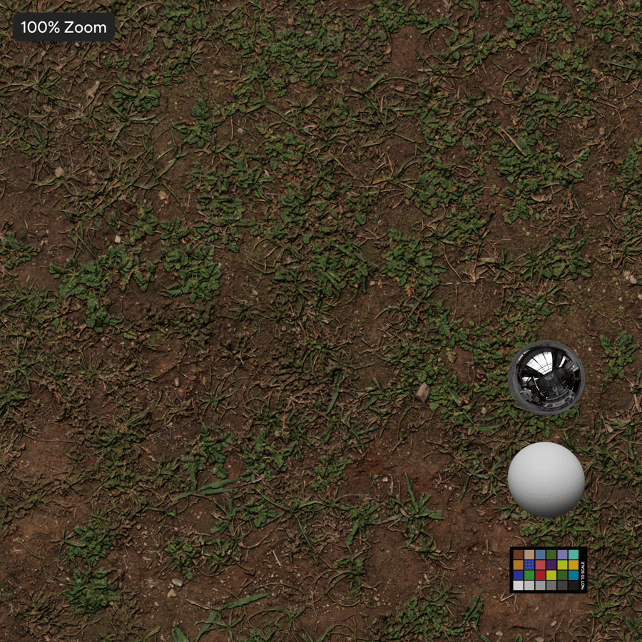 Sparse Grass Texture