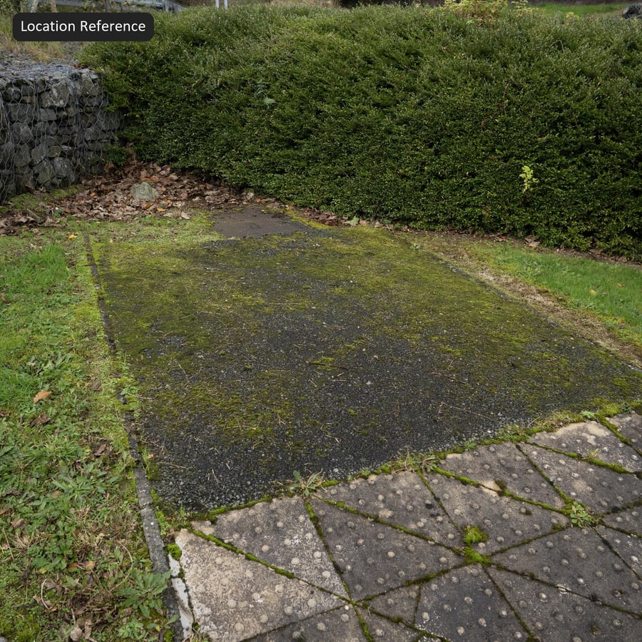Mossy Coarse Aggregate Asphalt Texture