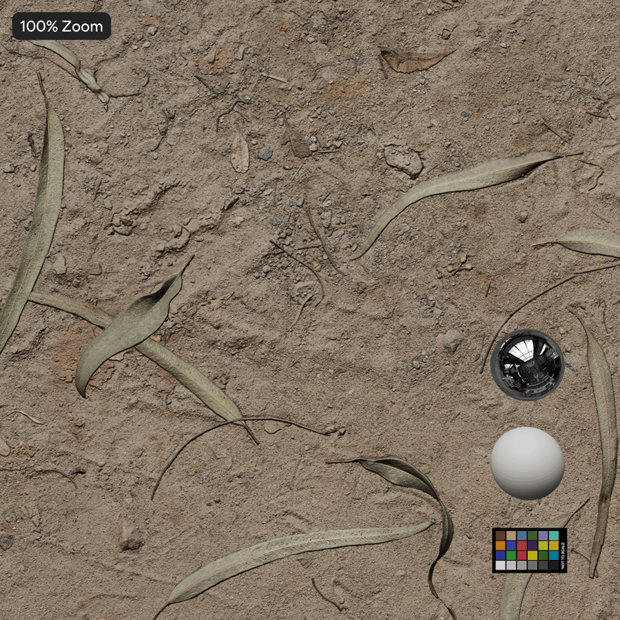 Hojas secas y marcas de neumáticos en la textura de un camino de tierra