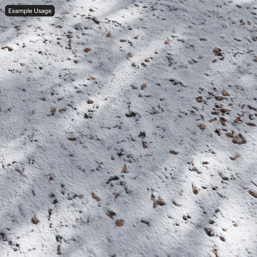 Scattered Leaves on Snow Texture