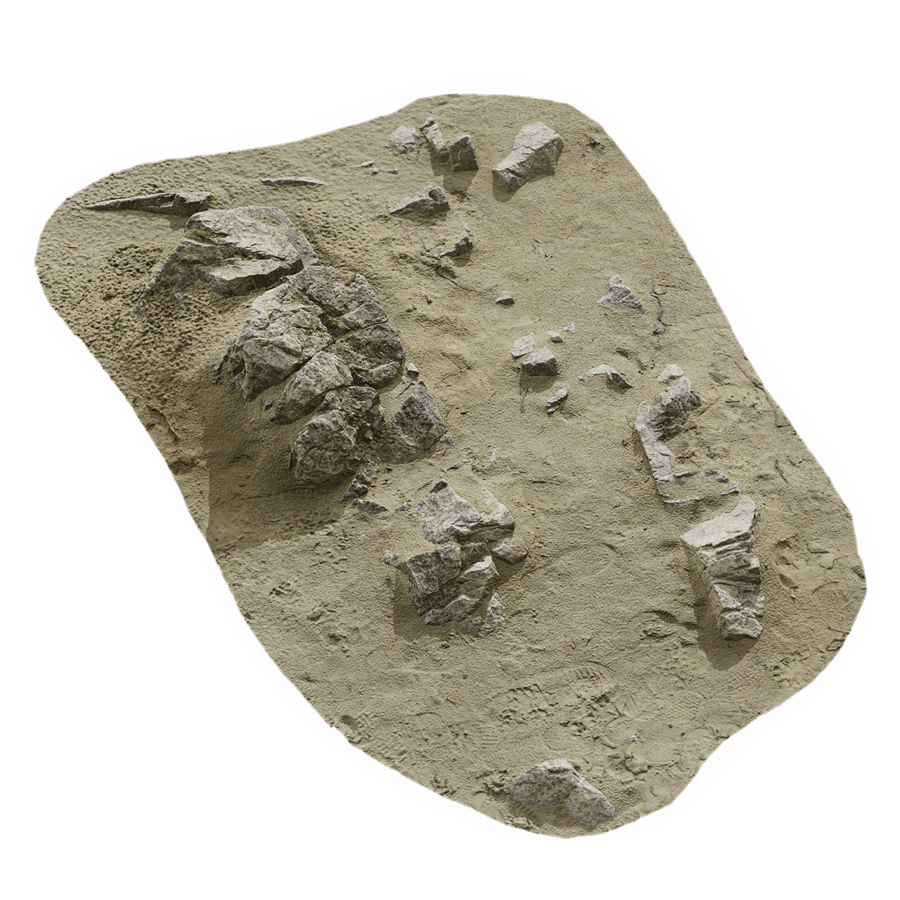 Large Scattered Beach Rock Model