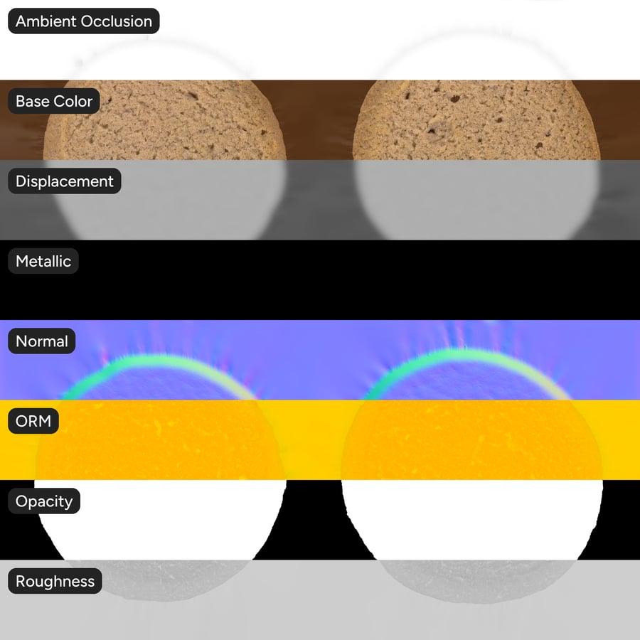 Snickerdoodle Cookie Front Texture