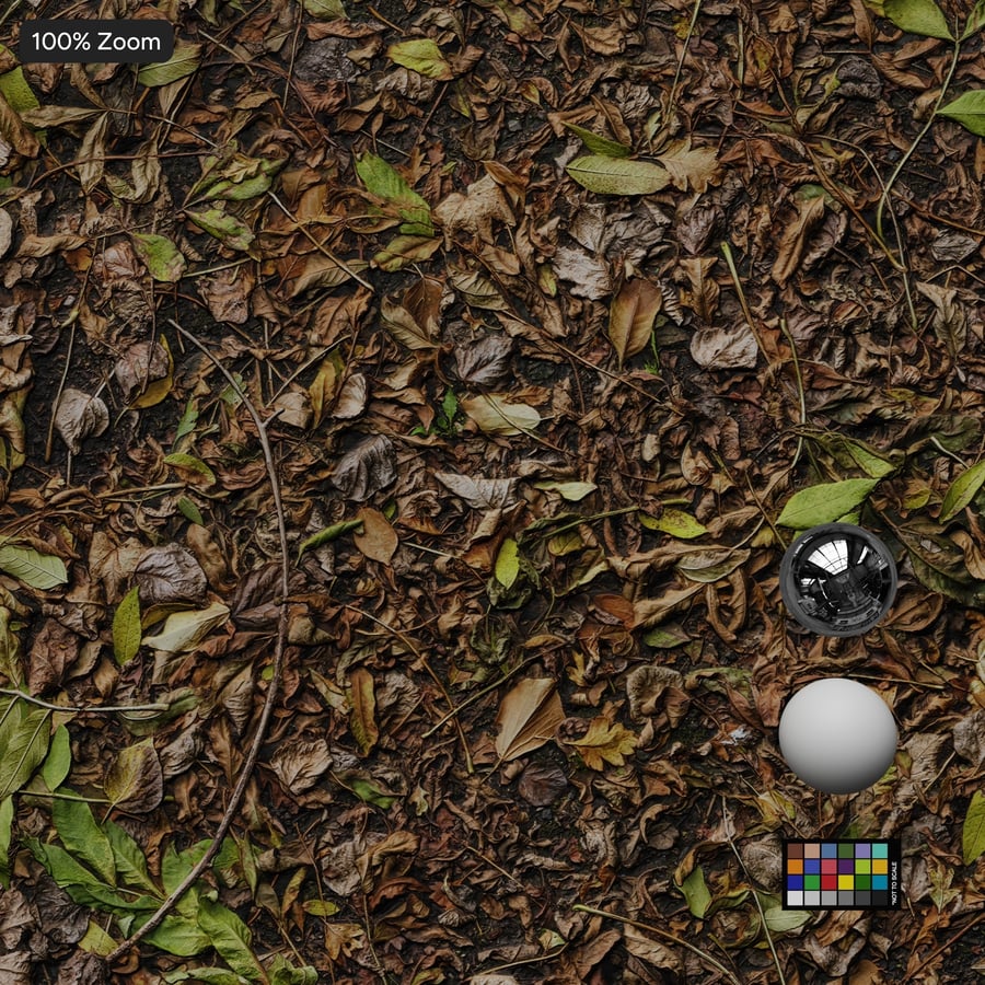 Feuilles entièrement recouvertes sur texture de sol asphalté