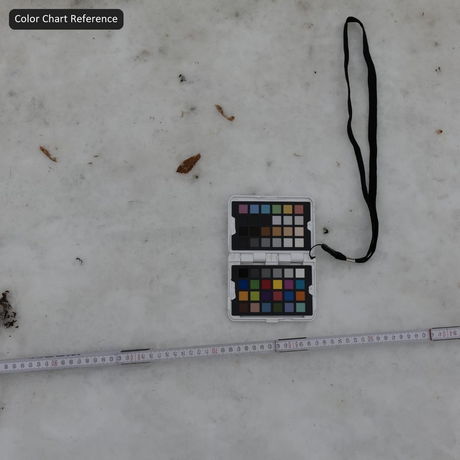 Jejak Kaki pada Tekstur Salju yang Kotor