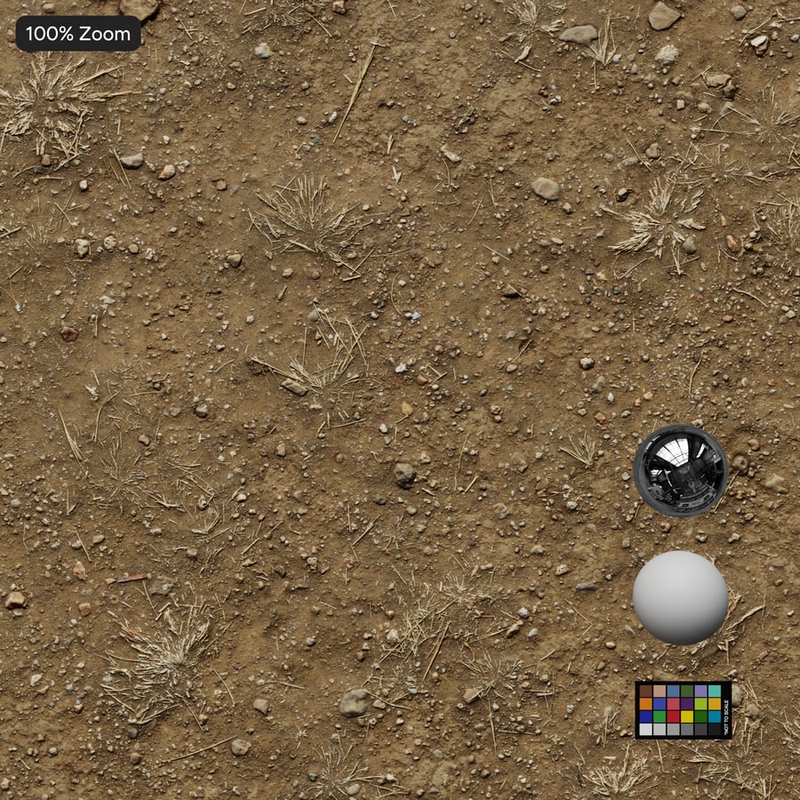 Scattered Rocks on Dirt Texture
