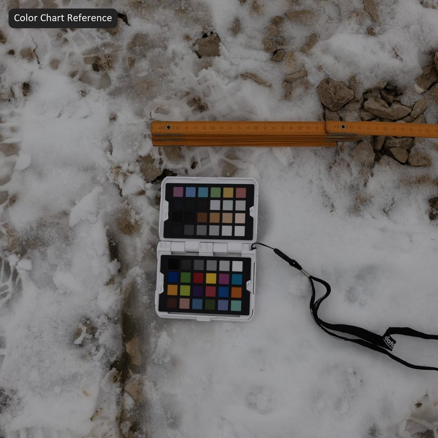 Следы от шин на грязном снегу