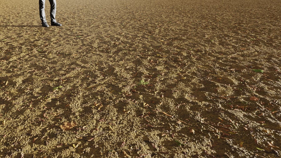 Light Scattered Leaves Ground Texture