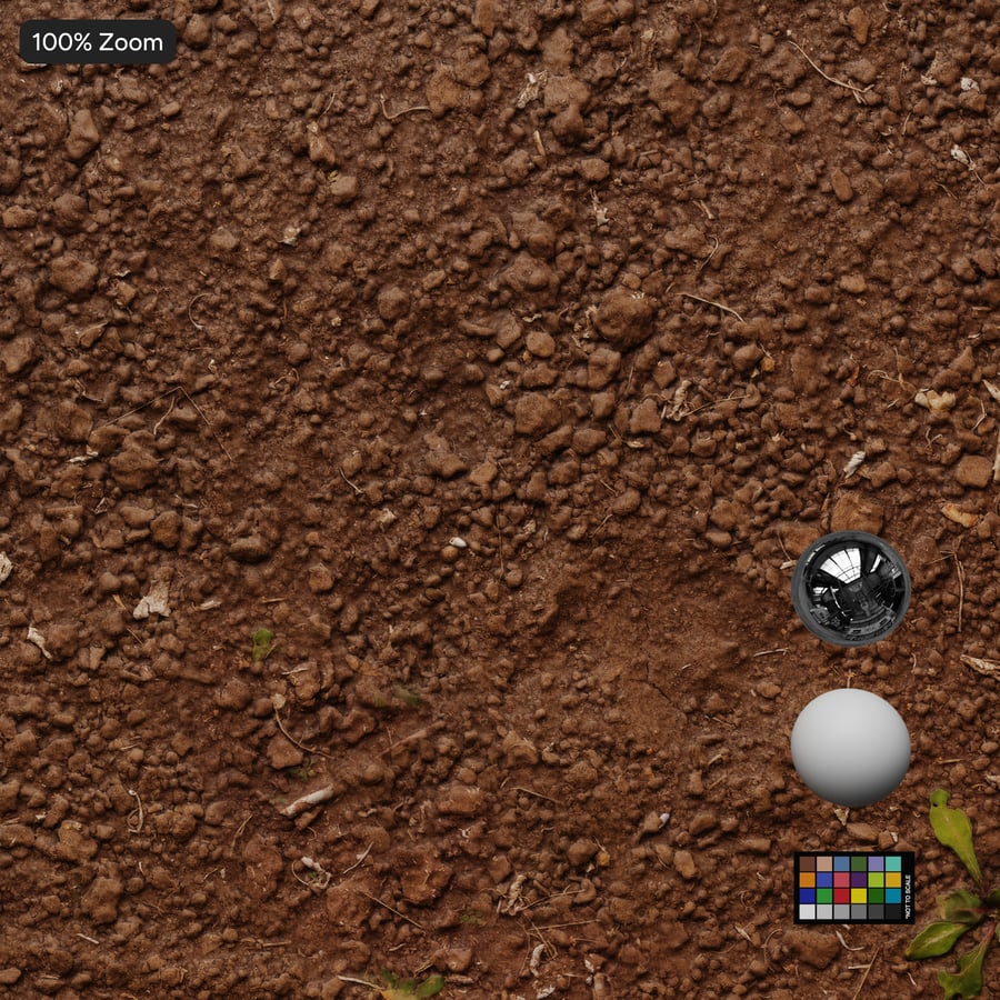 Small Weeds on Tilled Dirt Texture