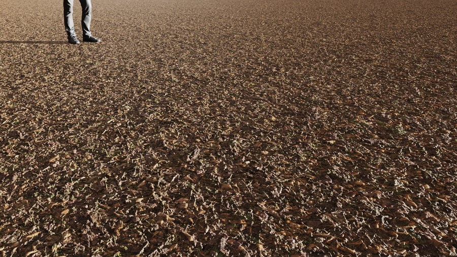 Weeds & Debris Forest Floor Dirt Ground Texture