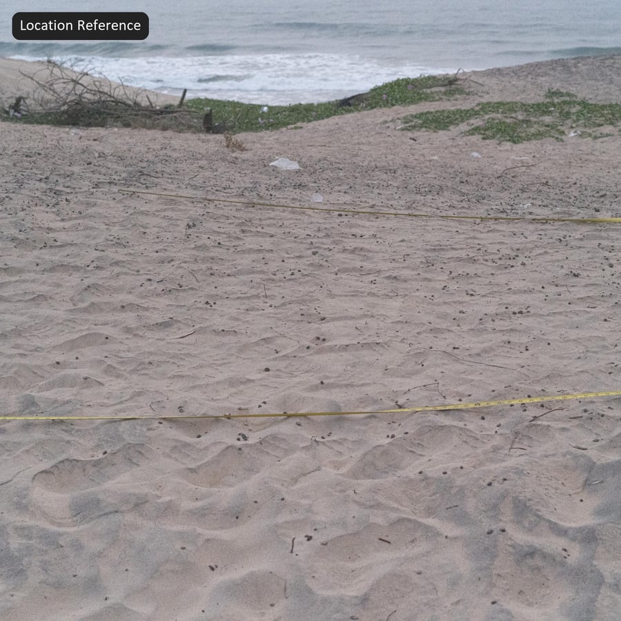 Compacted Coastal Beach Sand Texture, Grey Tan