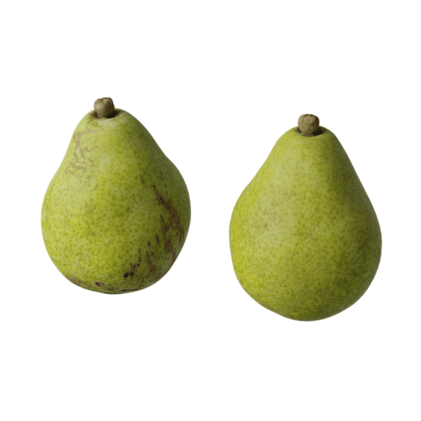 Modelo alimentario de fruta de pera