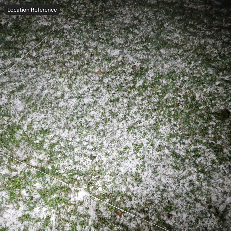 Snow on Grass Texture