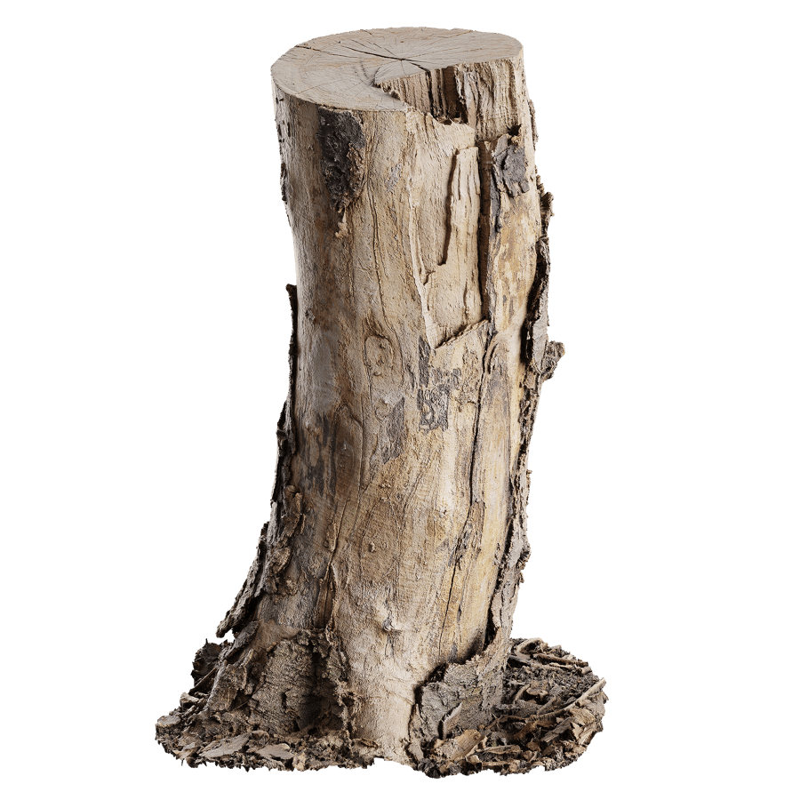 Medium Cut Bare Splintered Stump Model