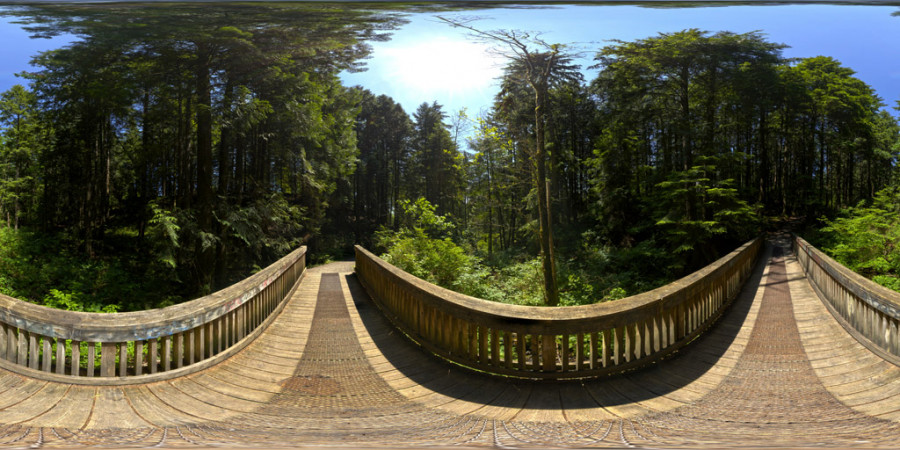 Forest Bridge Clear Day Outdoor Sky HDRI