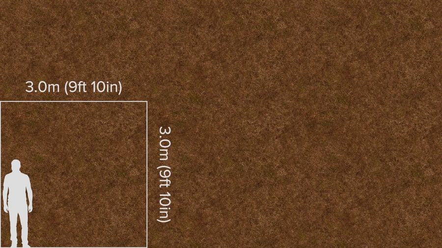Textura de musgo e relva seca