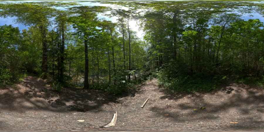 Park Forest Trail Clear Midday Outdoor Sky HDRI