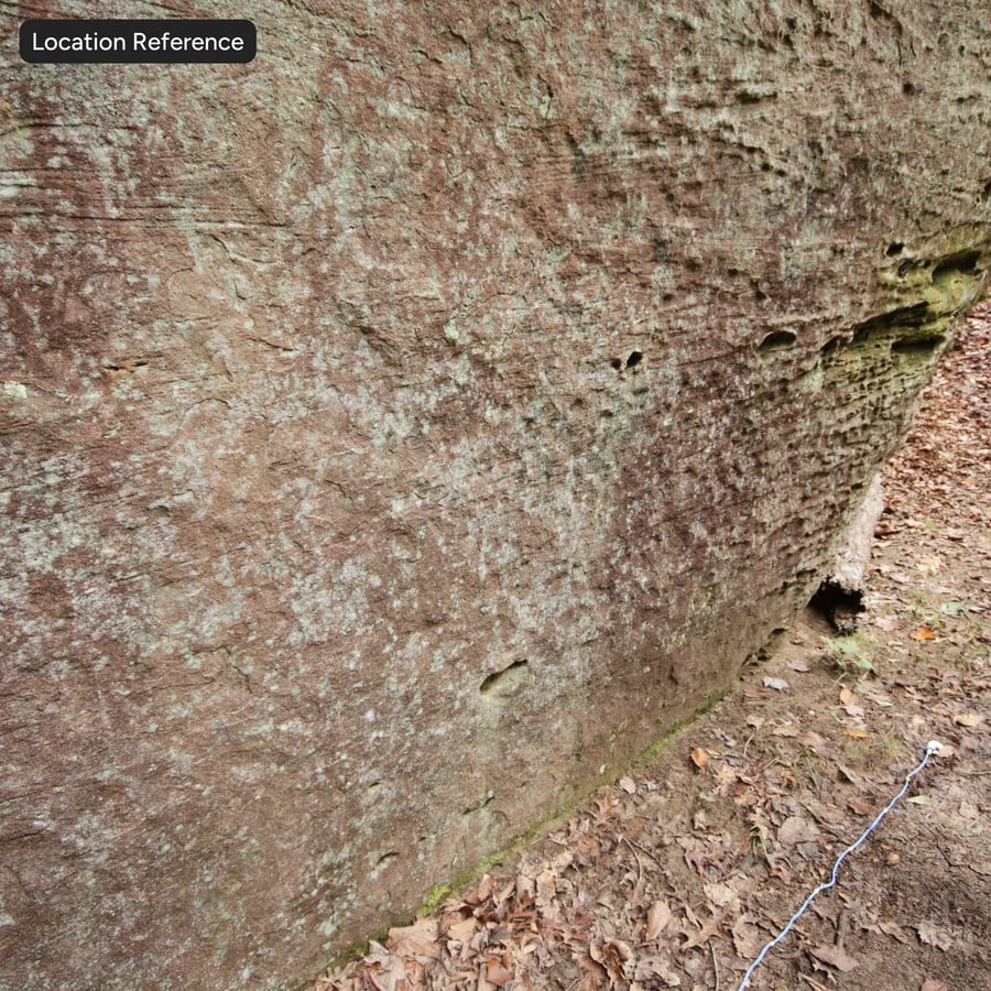 이끼로 뒤덮인 절벽 바위 텍스처, 갈색