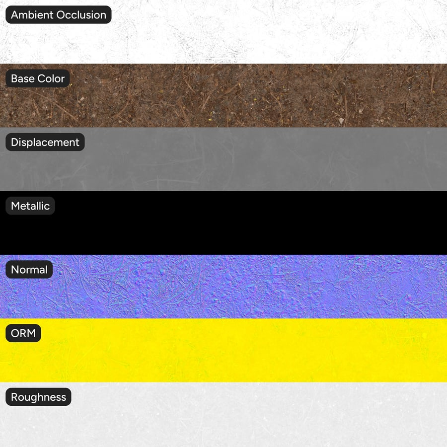 Forest Floor Soil Texture