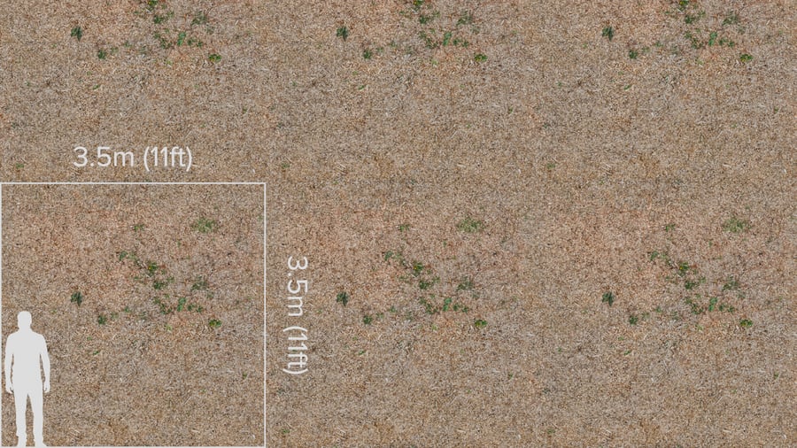 Mulch on Forest Texture, Beige